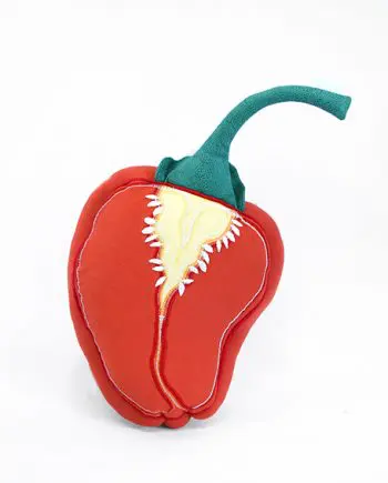 Habanero Chili Kissen<span> - </span>Orange