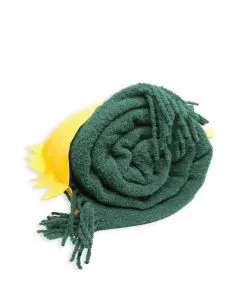 GR3.002 Maultaschen mit Decke Spinat_details