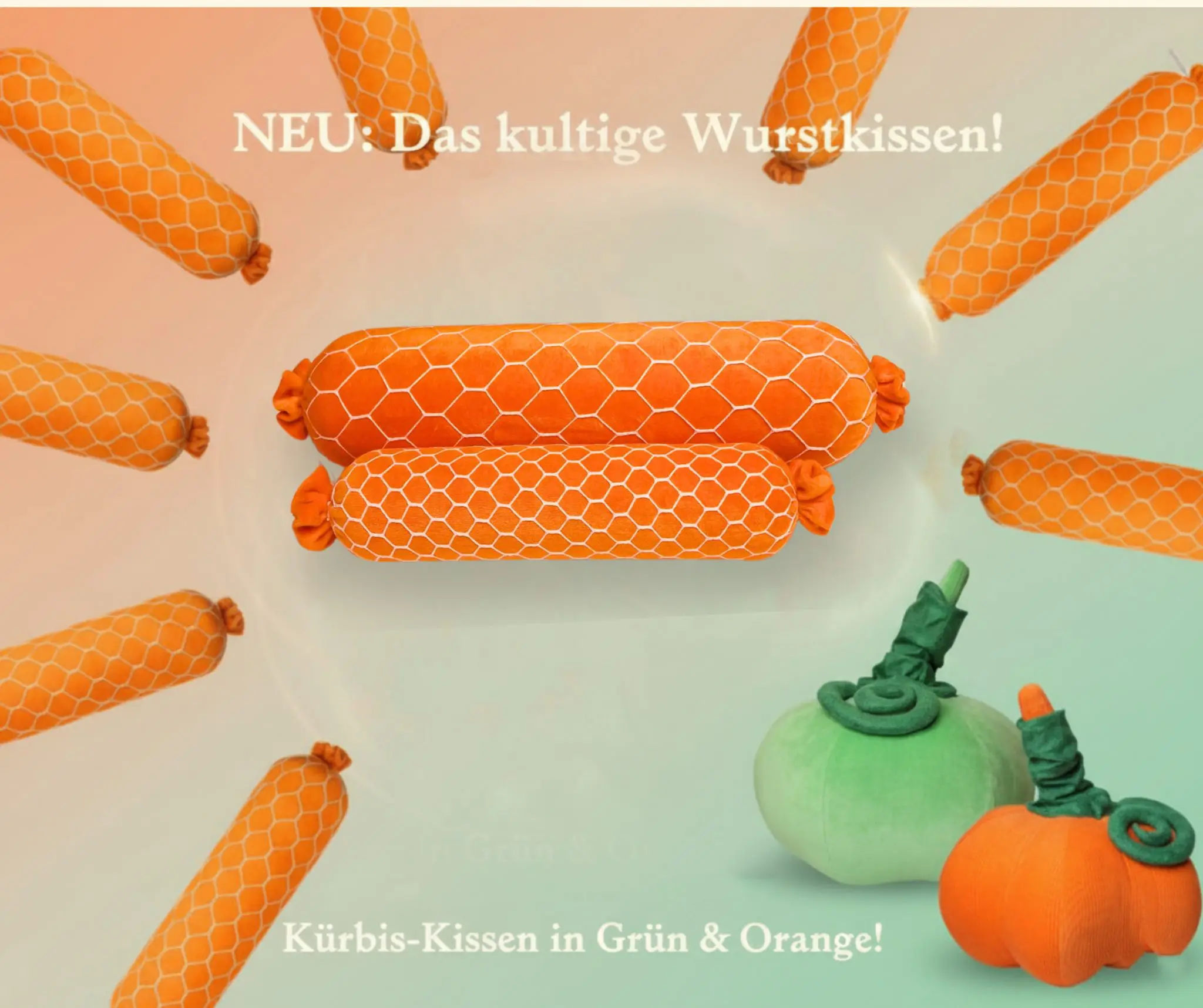 NEW Geflügelfleischwurst (5)