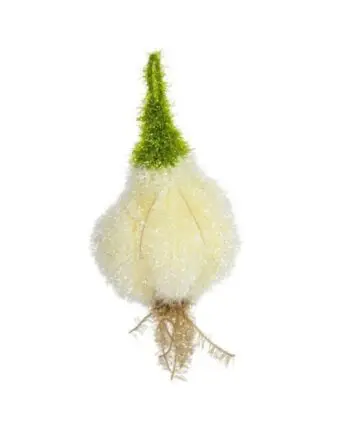 Gehäkelter koreanischer Spülschwamm in Knoblauchform mit grüner Spitze und Wurzelstock, daneben echter Knoblauch