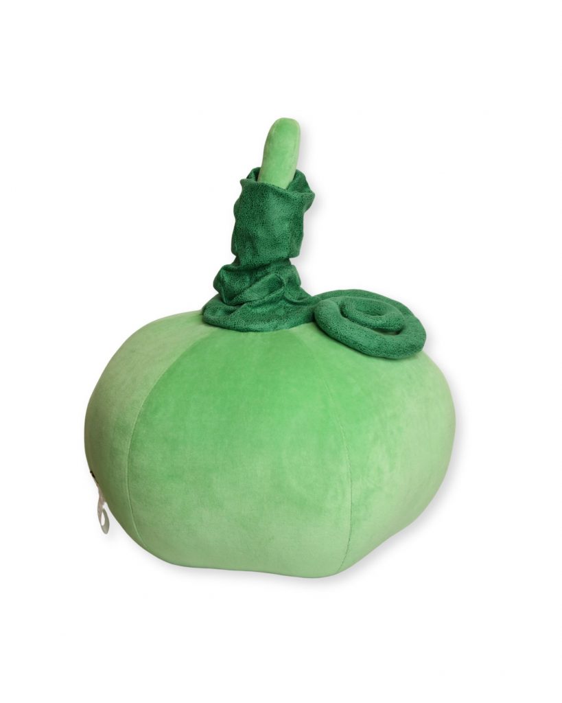 GR2.026 Green Pumkin Pillow_side