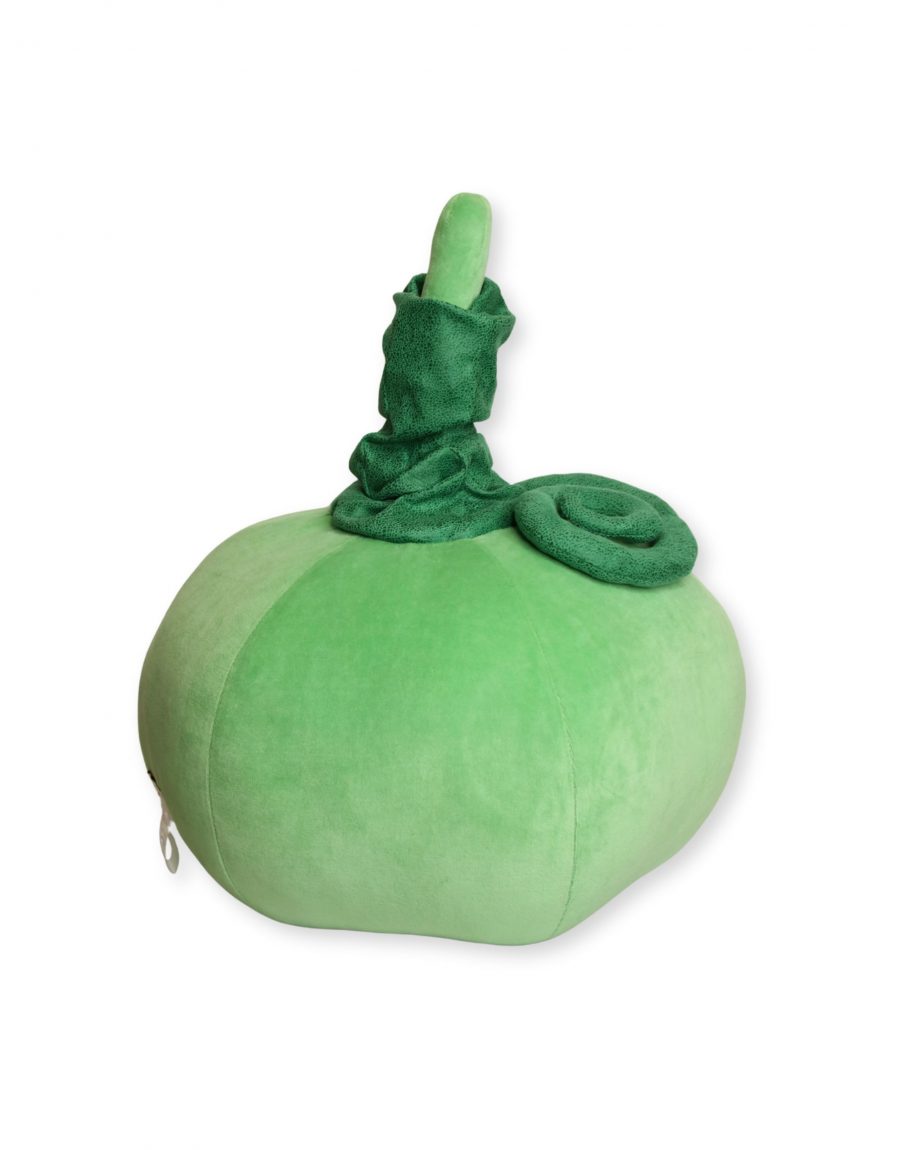 Kissen Kürbis Mint