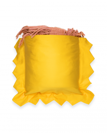 Ravioli mit Decke Schinken