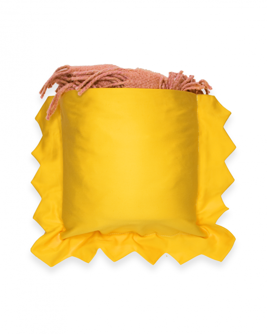 Ravioli mit Decke Schinken