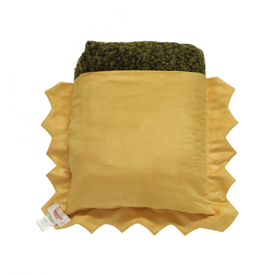 Ravioli mit Decke Spinat
